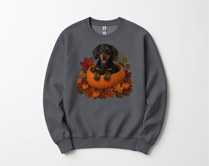 Black and Tan Dachshund Pumpkin Sweatshirt Fall Dog Lover Autumn Puppy Cozy Crewneck Gift Apparel