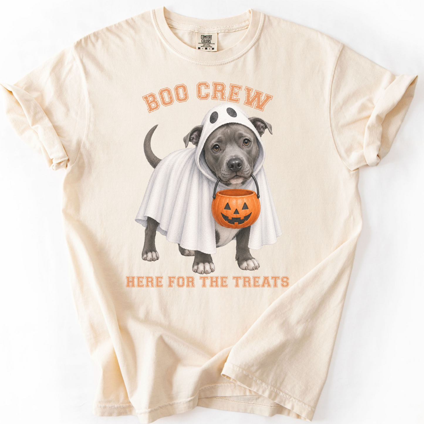 Pitbull Boo Crew Halloween Shirt, Here for the Treats Dog Mom Tee