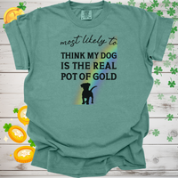 Load image into Gallery viewer, Most Likely to Think My Dog is the Real Pot of Gold Shirt, Funny St. Patrick’s Day Dog Lover Tee, Lucky Shamrock Pet Owner Gift 🍀🐶🌈
