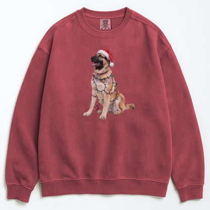 Christmas Anatolian Shepherd Sweatshirt, Christmas Lights Dog