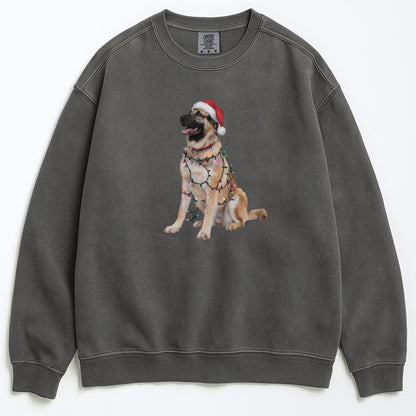 Christmas Anatolian Shepherd Sweatshirt, Christmas Lights Dog