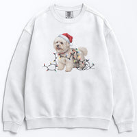 Load image into Gallery viewer, Christmas Bichon Frise Sweatshirt, Christmas Lights Dog
