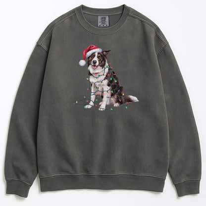 Christmas Border Collie Sweatshirt, Christmas Lights Dog