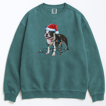 Christmas Boston Terrier Sweatshirt, Christmas Lights Dog