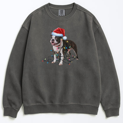Christmas Boston Terrier Sweatshirt, Christmas Lights Dog