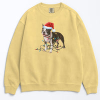 Load image into Gallery viewer, Christmas Boston Terrier Sweatshirt, Christmas Lights Dog
