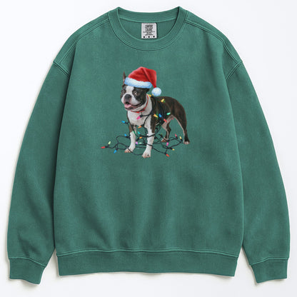 Christmas Boston Terrier Sweatshirt, Christmas Lights Dog