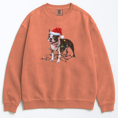 Christmas Boston Terrier Sweatshirt, Christmas Lights Dog