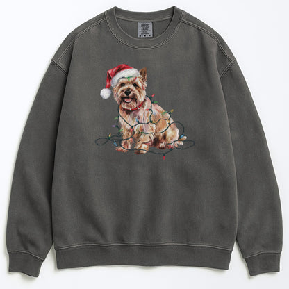 Christmas Cairn Terrier Sweatshirt, Christmas Lights Dog