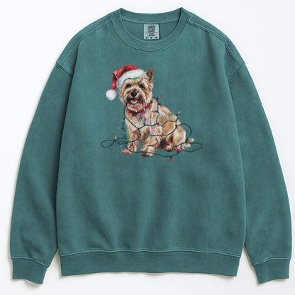 Christmas Cairn Terrier Sweatshirt, Christmas Lights Dog