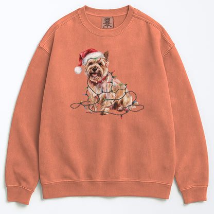 Christmas Cairn Terrier Sweatshirt, Christmas Lights Dog