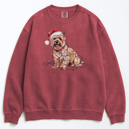 Christmas Cairn Terrier Sweatshirt, Christmas Lights Dog