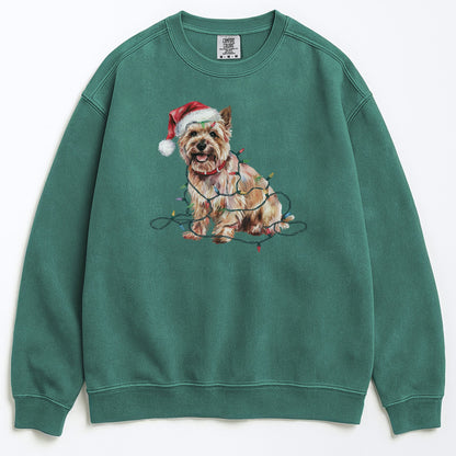 Christmas Cairn Terrier Sweatshirt, Christmas Lights Dog