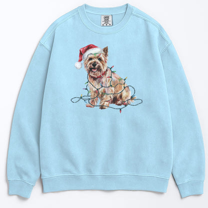 Christmas Cairn Terrier Sweatshirt, Christmas Lights Dog