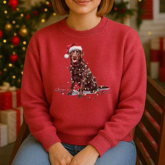 Christmas Chocolate Labrador Sweatshirt, Christmas Lights Dog