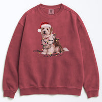 Load image into Gallery viewer, Christmas Coton De Tulear Sweatshirt, Christmas Lights Dog
