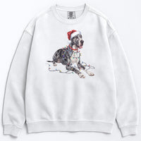 Load image into Gallery viewer, Christmas Great Dane Sweatshirt, Christmas Lights Dog
