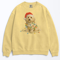 Load image into Gallery viewer, Christmas Havanese Sweatshirt, Christmas Lights Dog
