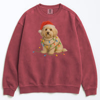 Load image into Gallery viewer, Christmas Havanese Sweatshirt, Christmas Lights Dog
