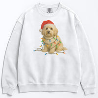 Load image into Gallery viewer, Christmas Havanese Sweatshirt, Christmas Lights Dog

