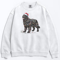Load image into Gallery viewer, Christmas Black Newfoundland Sweatshirt, Christmas Lights Dog
