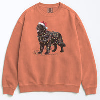 Load image into Gallery viewer, Christmas Black Newfoundland Sweatshirt, Christmas Lights Dog
