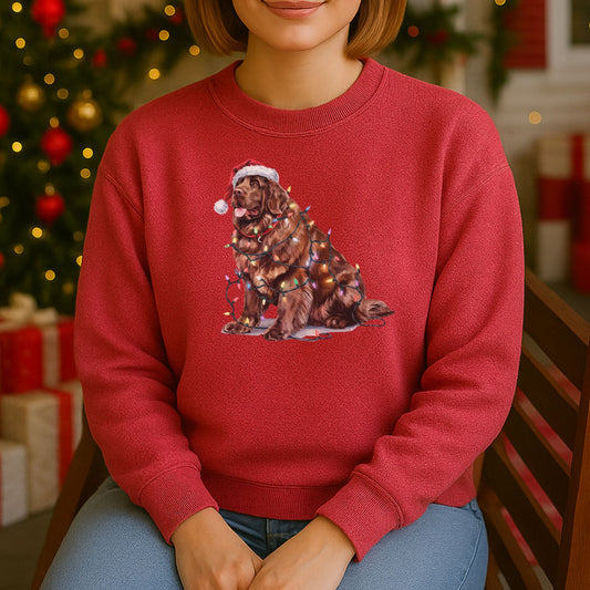 Christmas Brown Newfoundland Sweatshirt, Christmas Lights Dog
