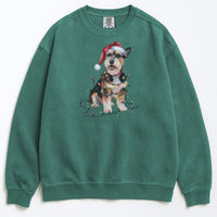 Load image into Gallery viewer, Christmas Norfolk Terrier Sweatshirt, Christmas Lights Dog
