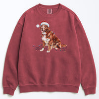 Load image into Gallery viewer, Christmas Nova Scotia Duck Tolling Retriever Sweatshirt, Christmas Lights Dog
