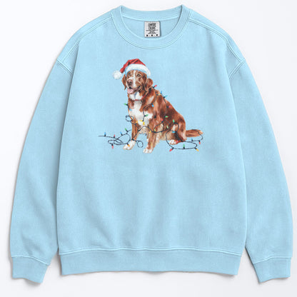 Christmas Nova Scotia Duck Tolling Retriever Sweatshirt, Christmas Lights Dog