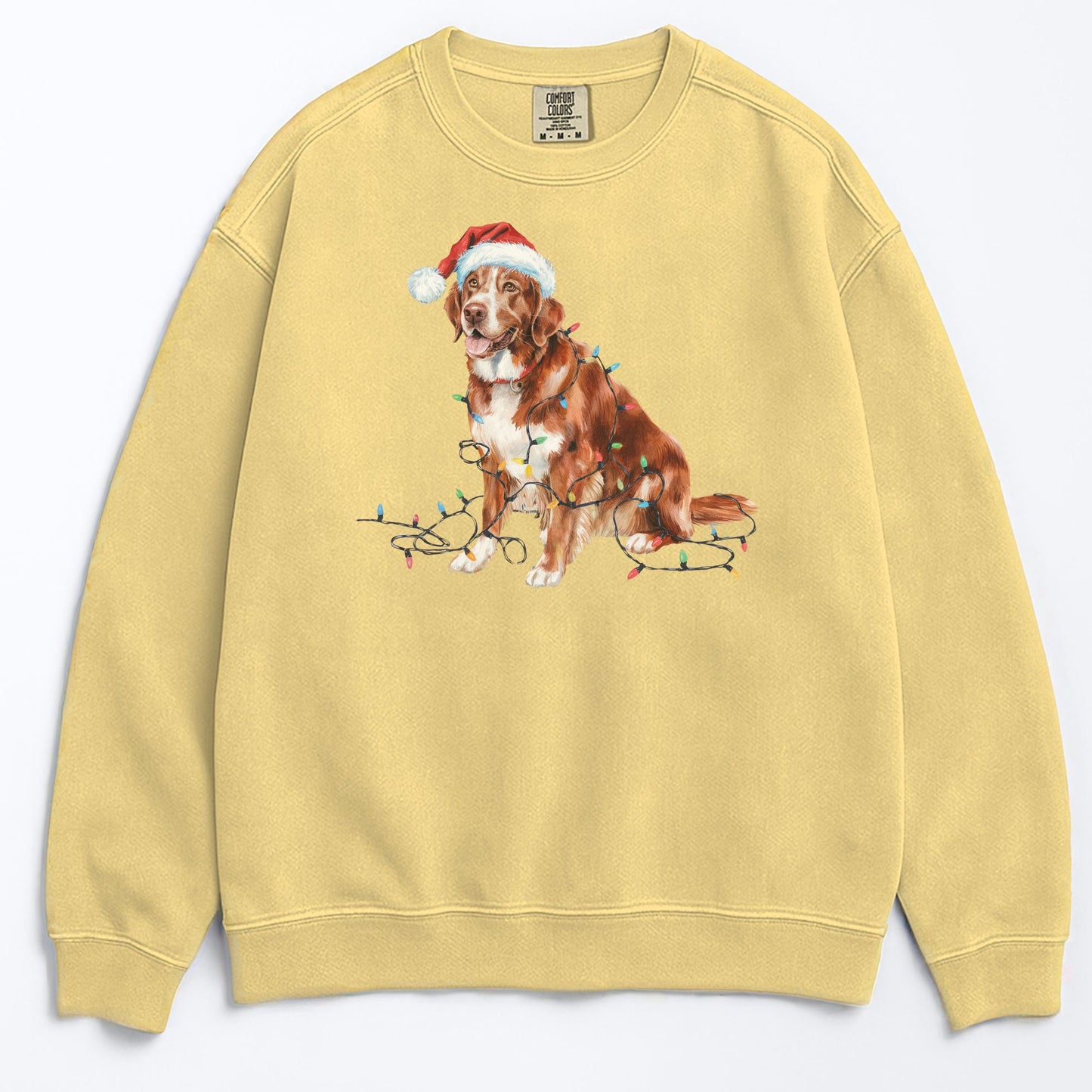 Christmas Nova Scotia Duck Tolling Retriever Sweatshirt, Christmas Lights Dog