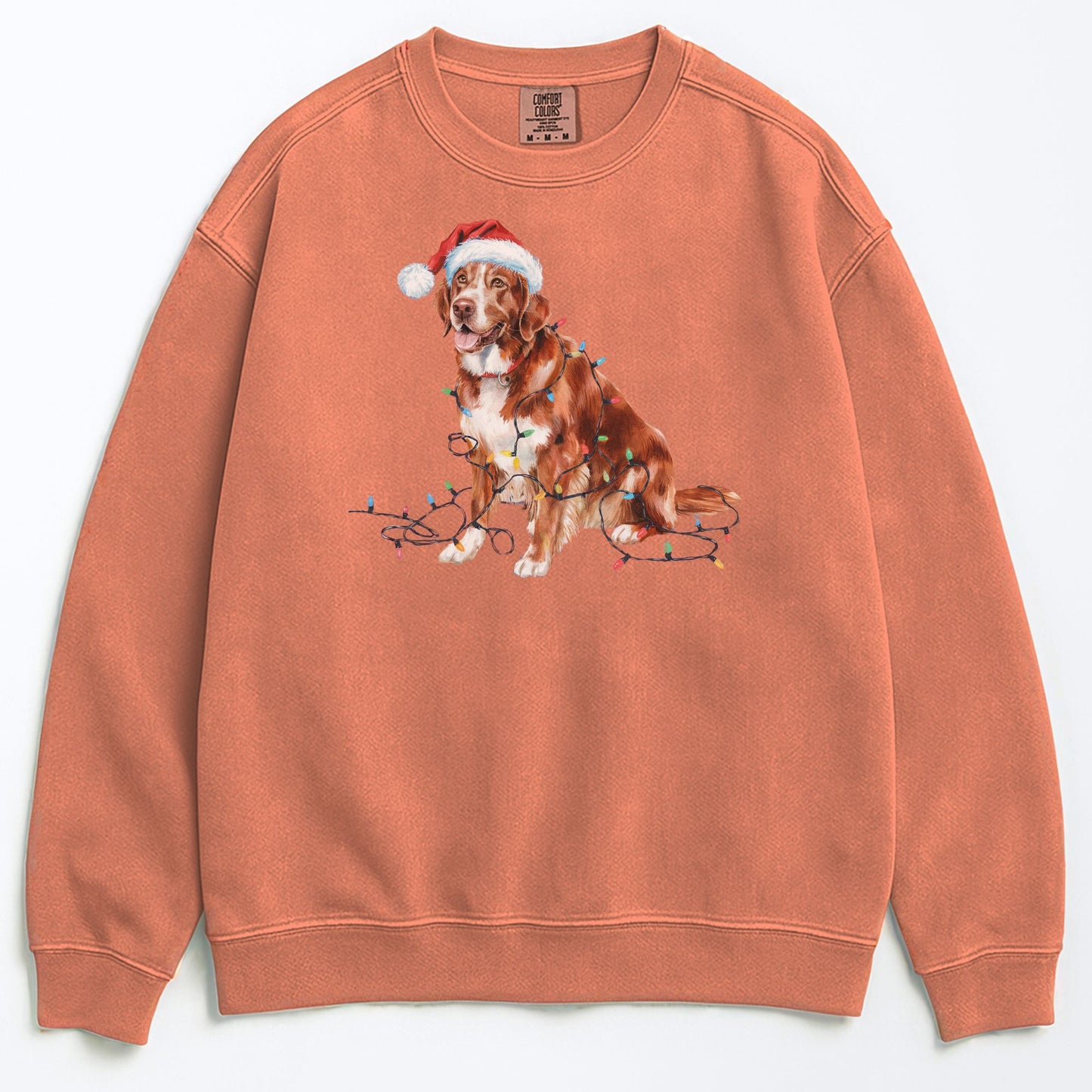 Christmas Nova Scotia Duck Tolling Retriever Sweatshirt, Christmas Lights Dog