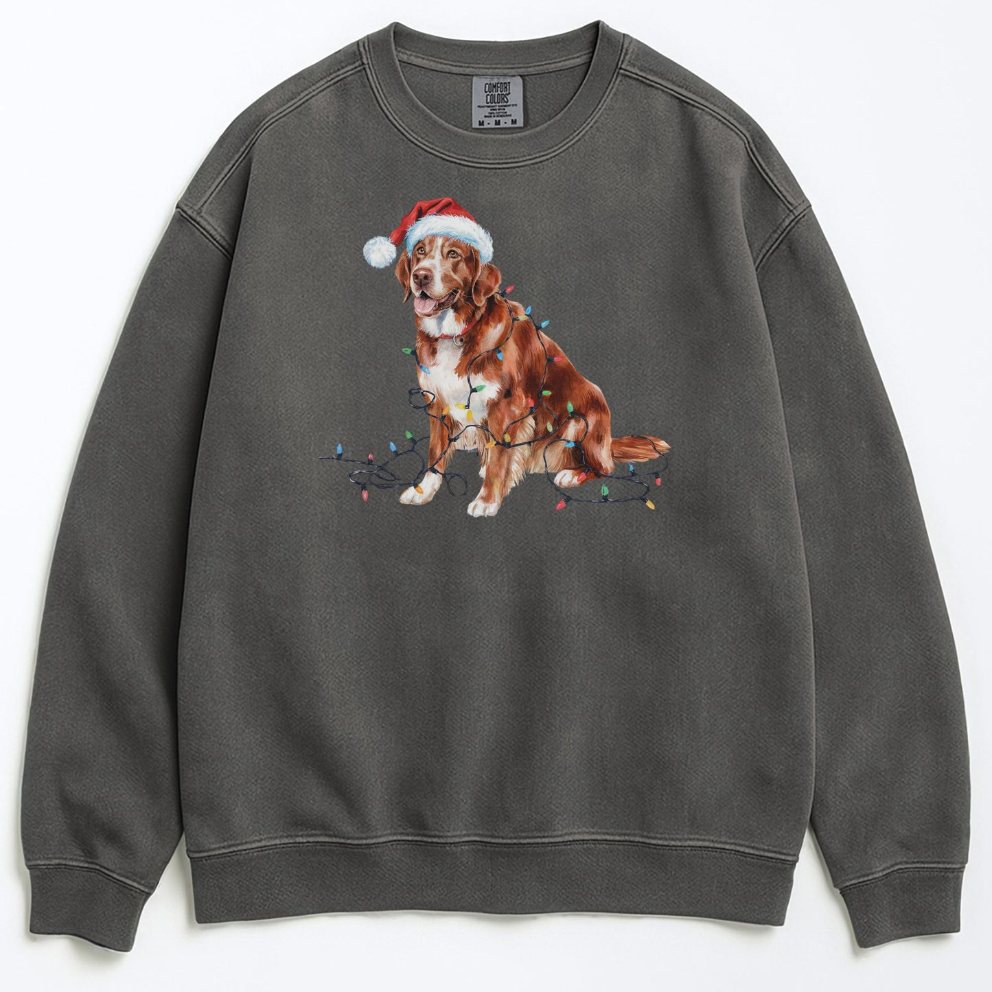 Christmas Nova Scotia Duck Tolling Retriever Sweatshirt, Christmas Lights Dog