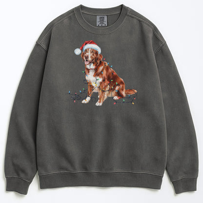 Christmas Nova Scotia Duck Tolling Retriever Sweatshirt, Christmas Lights Dog