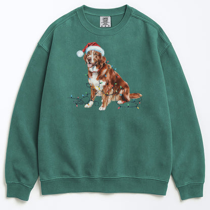 Christmas Nova Scotia Duck Tolling Retriever Sweatshirt, Christmas Lights Dog