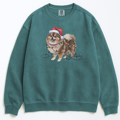 Christmas Pomeranian Sweatshirt, Christmas Lights Dog