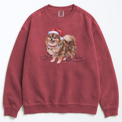 Christmas Pomeranian Sweatshirt, Christmas Lights Dog