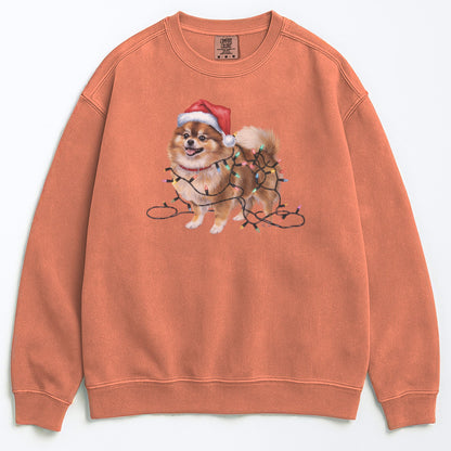 Christmas Pomeranian Sweatshirt, Christmas Lights Dog