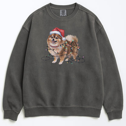 Christmas Pomeranian Sweatshirt, Christmas Lights Dog