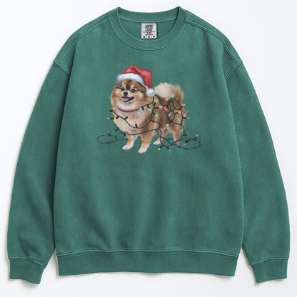 Christmas Pomeranian Sweatshirt, Christmas Lights Dog