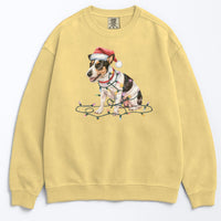 Load image into Gallery viewer, Christmas Rat Terrier Sweatshirt, Christmas Lights Dog
