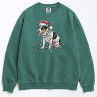 Load image into Gallery viewer, Christmas Rat Terrier Sweatshirt, Christmas Lights Dog
