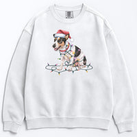 Load image into Gallery viewer, Christmas Rat Terrier Sweatshirt, Christmas Lights Dog
