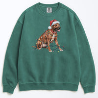 Load image into Gallery viewer, Christmas Rhodesian Ridgeback Sweatshirt, Christmas Lights Dog
