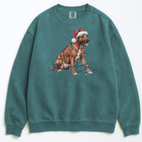 Load image into Gallery viewer, Christmas Rhodesian Ridgeback Sweatshirt, Christmas Lights Dog
