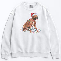 Load image into Gallery viewer, Christmas Rhodesian Ridgeback Sweatshirt, Christmas Lights Dog
