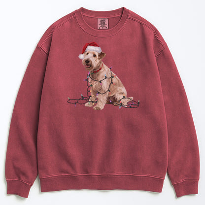 Christmas Soft Coated Wheaten Terrier Sweatshirt, Christmas Lights Dog