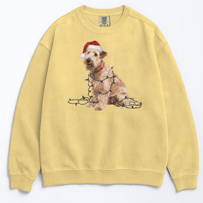 Christmas Soft Coated Wheaten Terrier Sweatshirt, Christmas Lights Dog