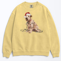 Load image into Gallery viewer, Christmas Soft Coated Wheaten Terrier Sweatshirt, Christmas Lights Dog
