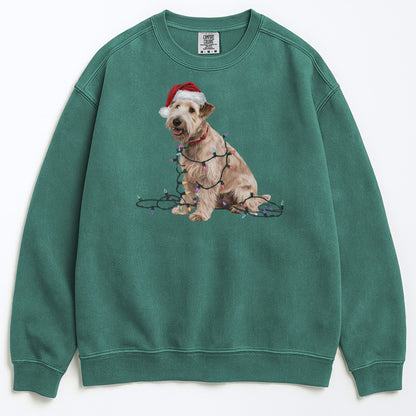 Christmas Soft Coated Wheaten Terrier Sweatshirt, Christmas Lights Dog